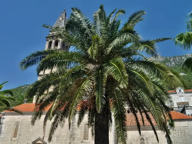 Kotor Perast'ta Su Kenarı Akşam Yemeği Teklifi